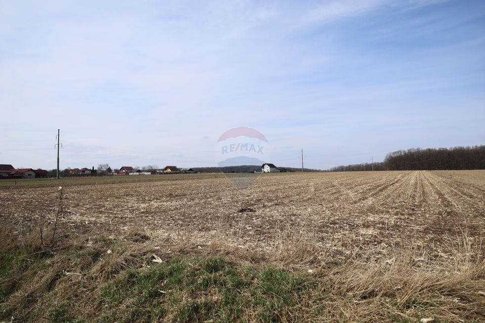 Teren 9,740mp Suceava / Strada Principala