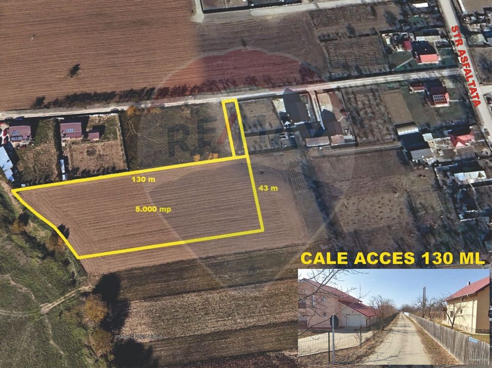 Teren 5,000mp Rusi-Ciutea / Strada Margaretelor