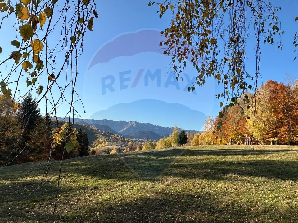 Investment opportunity ! Dream land in Pestera - 125,370 sqm