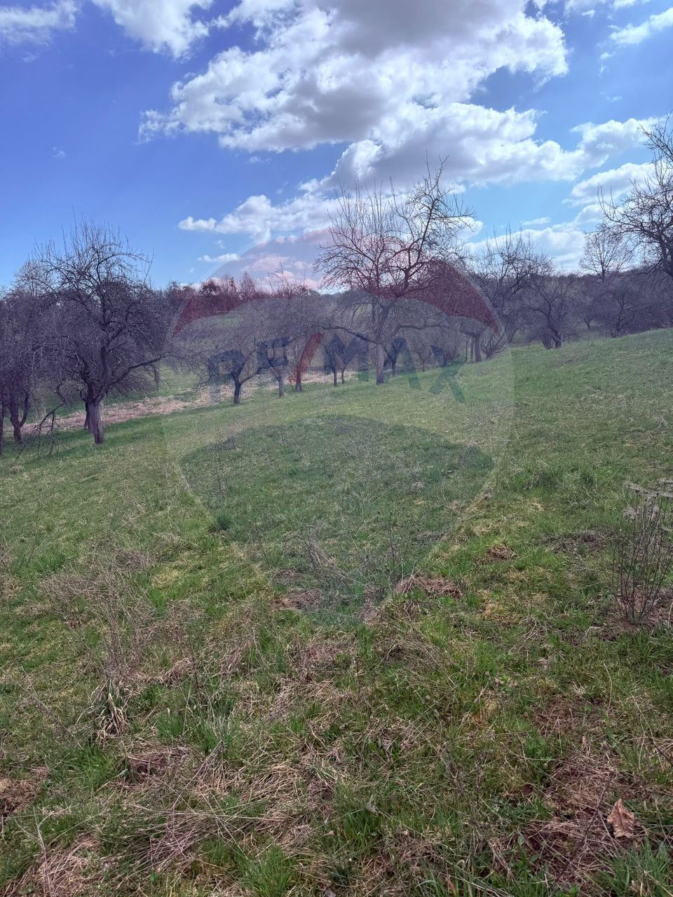 Teren 6,377mp Harnicesti / Strada Principala