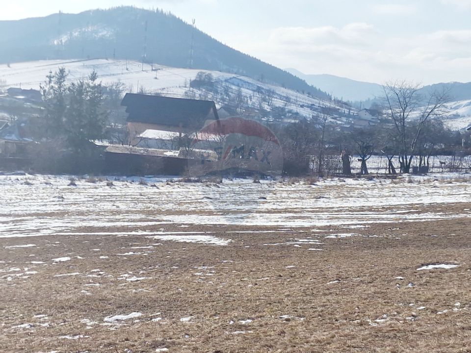 Teren 2,344mp Garcina / Aleea Coasta lui Bojoaga