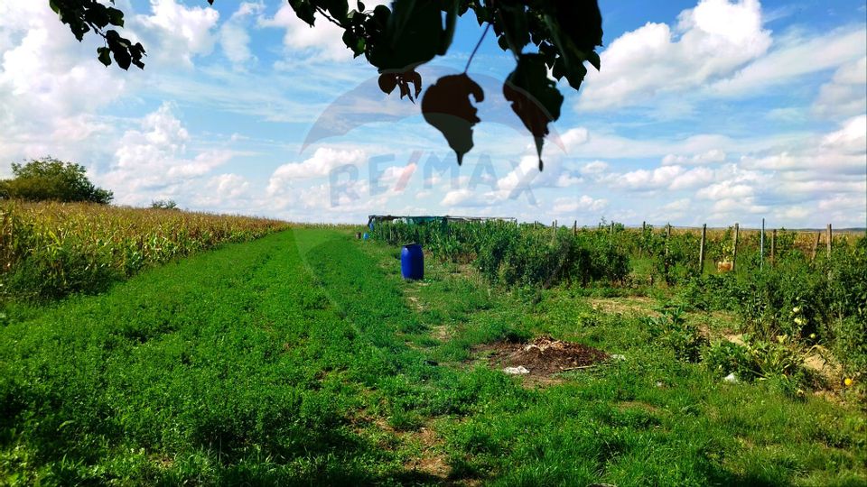 Casă de vânzare cu  teren de 3.869 mp în Cosniciu de Jos /Ip, Sălaj