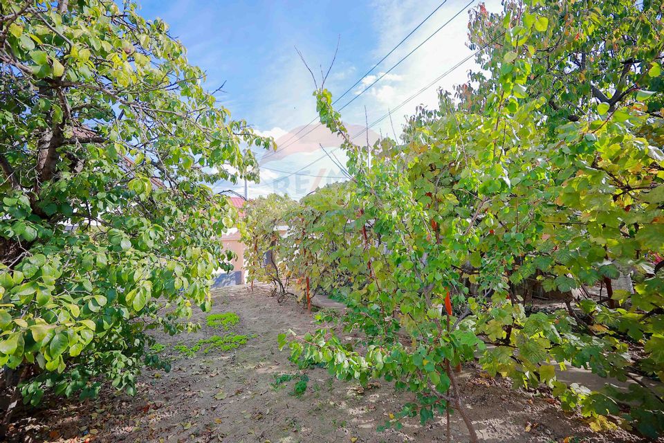 Casă cu 2 camere de vânzare în zona Ioșia Strada Arțarilor