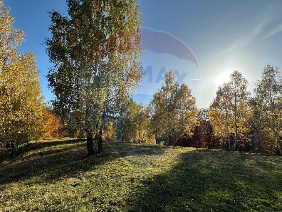 Investment opportunity ! Dream land in Pestera - 125,370 sqm