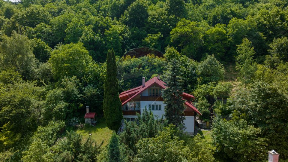 24 room House / Villa for sale, Schei area