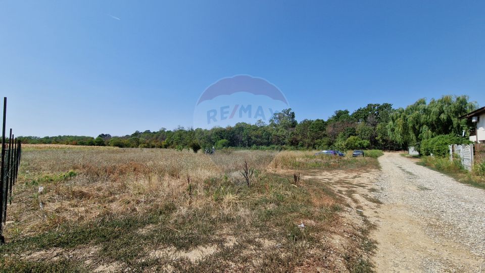 Land 5,457sqm Pruni / Strada Padurii