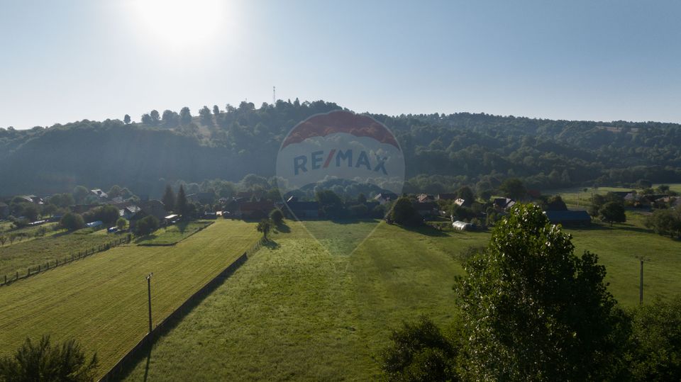 3 room House / Villa for sale