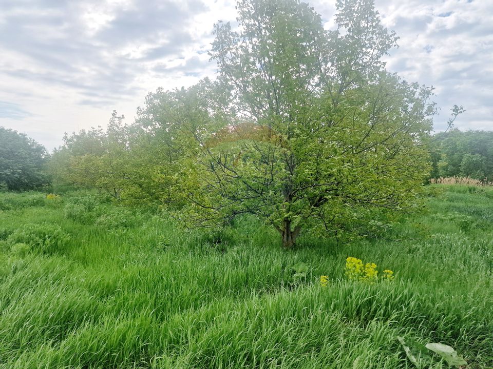 Afacere la cheie- Brutărie