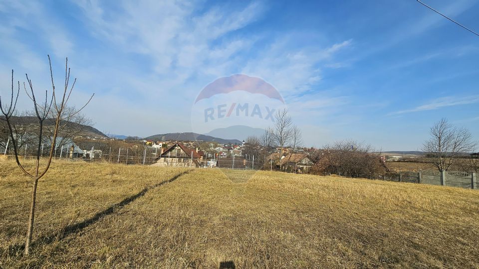 Land 1,056sqm Piatra-Neamt / Stradela CIOCIRLIEI