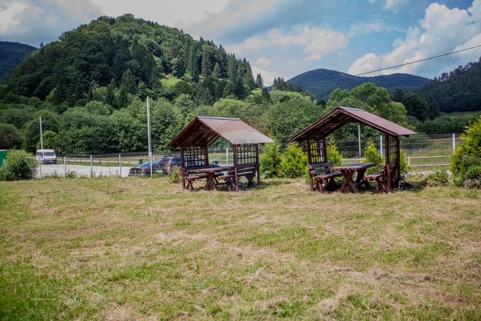 Hotel / Pensiune cu 10 camere de vânzare/Vama Buzaului