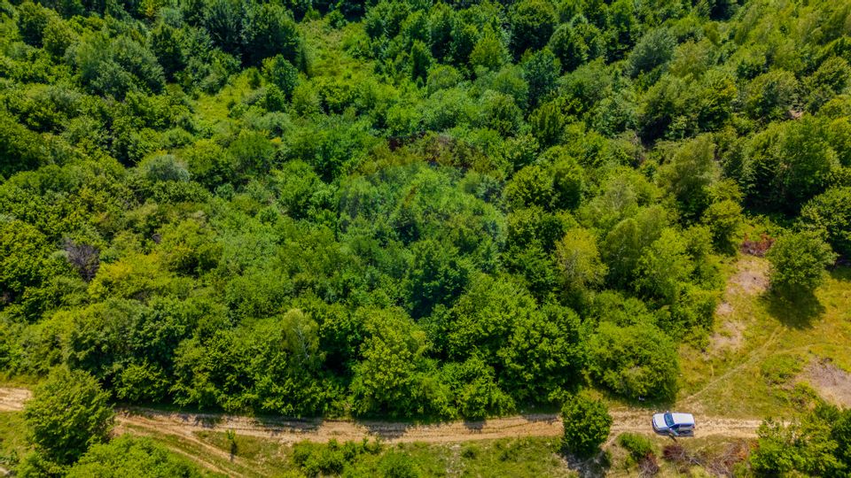 COMISION 0% Teren Grid/Inima Naturii/ Oportunitate de investiție