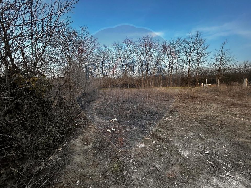 Teren Craiova de vanzare/ langa padure