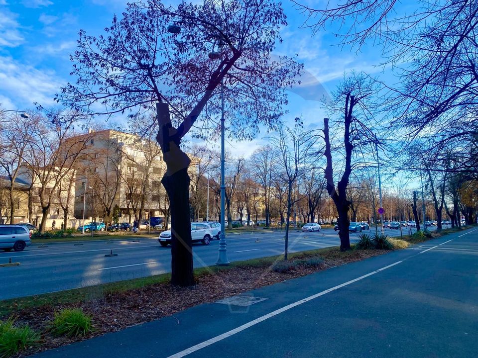 Spațiu comercial de 196.25mp de închiriat în zona Aviatorilor