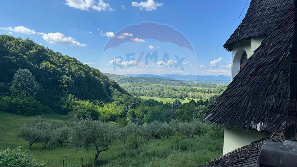 Proprietate de Vânzare în Berchezoaia Maramureș–Oază de Liniște-Naturǎ