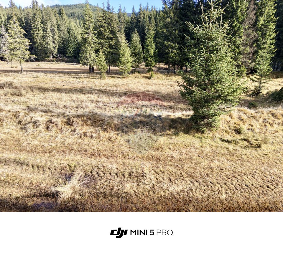 Teren de vanzare - 5000 mp - Peștera Padina