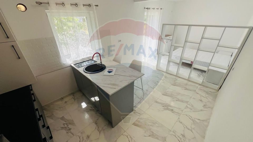 1 room Apartment for rent, Orasul Vechi area