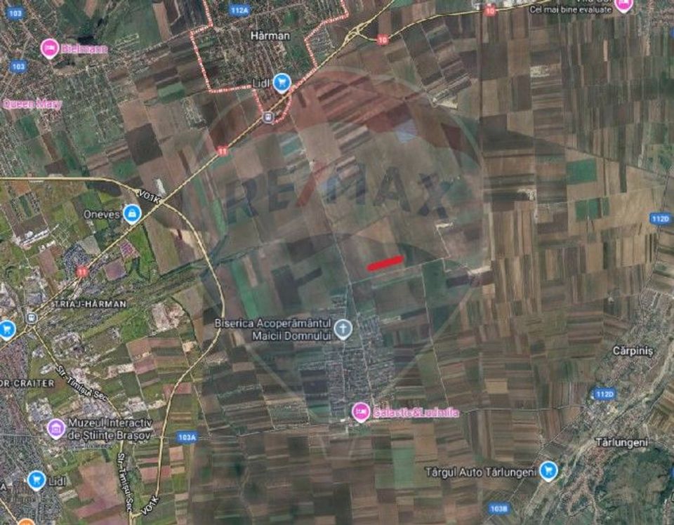 Land 37,800sqm Harman / Calea Harmanului Dj108